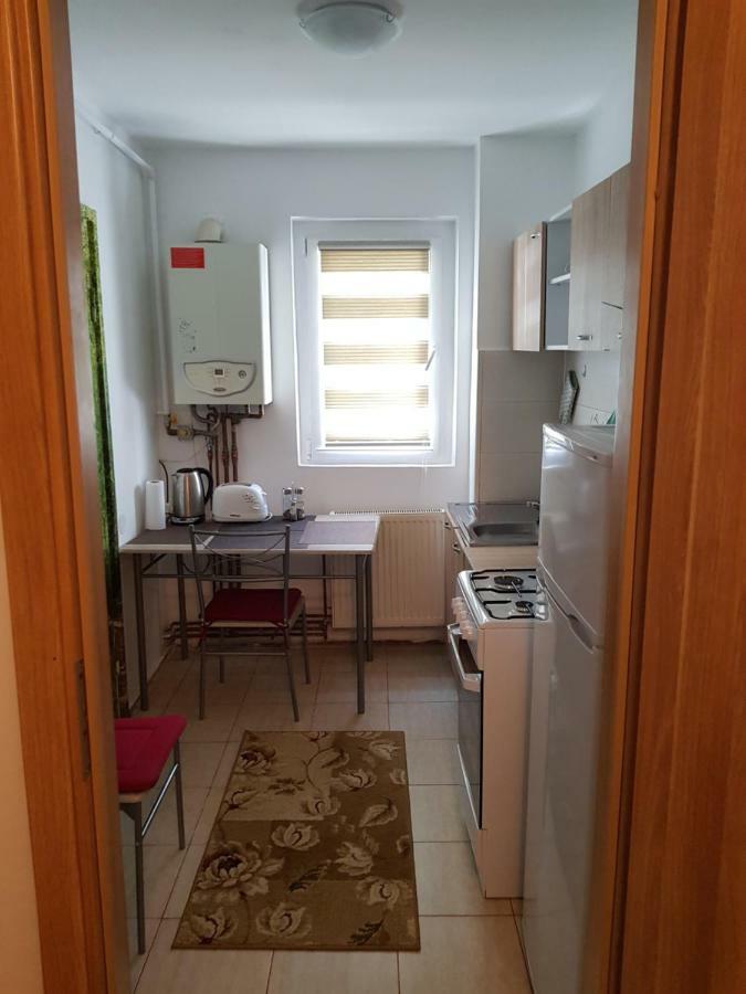 Petuniei Apartment Brasov Exterior photo