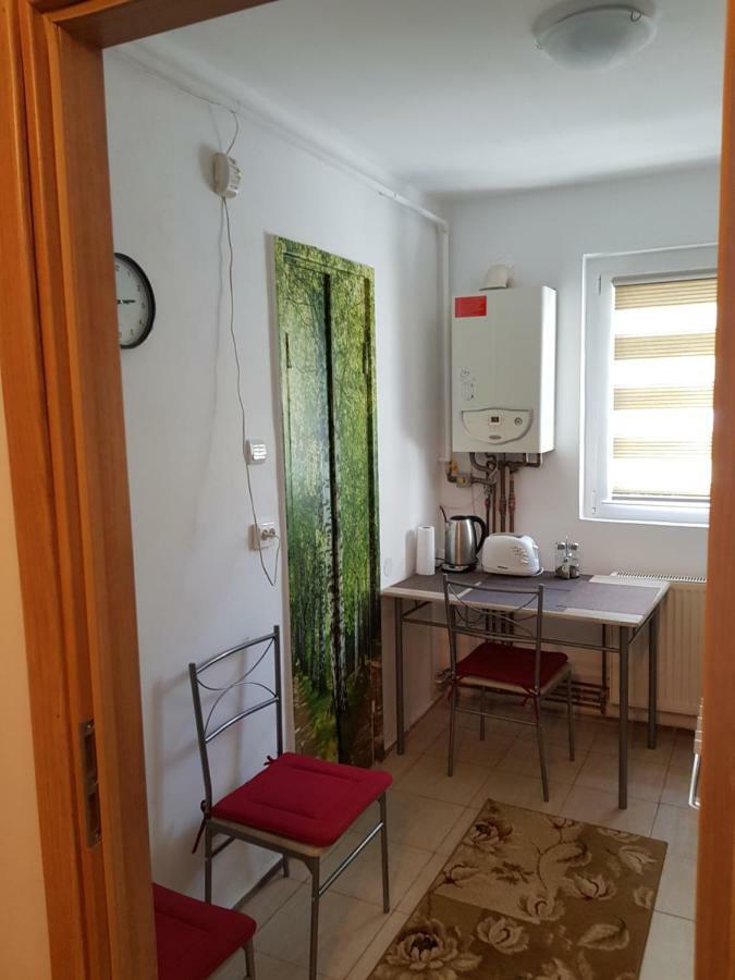 Petuniei Apartment Brasov Exterior photo