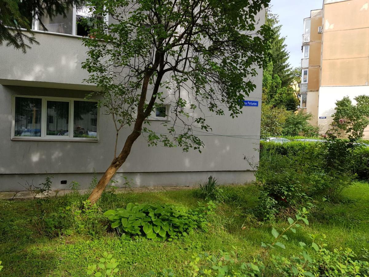 Petuniei Apartment Brasov Exterior photo