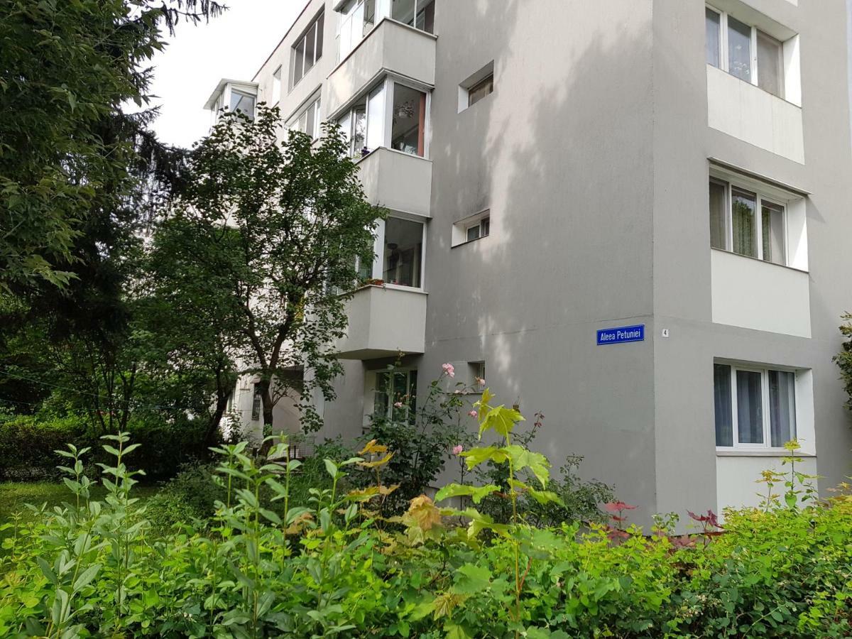 Petuniei Apartment Brasov Exterior photo